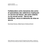 R4d. Apports des pairs-aidants (PAs) aux équipes soignantes œuvrant en milieu hospitalier (Egli Anthonioz et al. 2024)