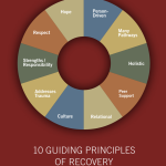 R1c. Les 10 principes du rétablissement (SAMHSA) illustrés une PPSM