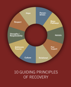 R1c. Les 10 principes du rétablissement (SAMHSA) illustrés une PPSM